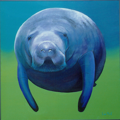 Max the Manatee